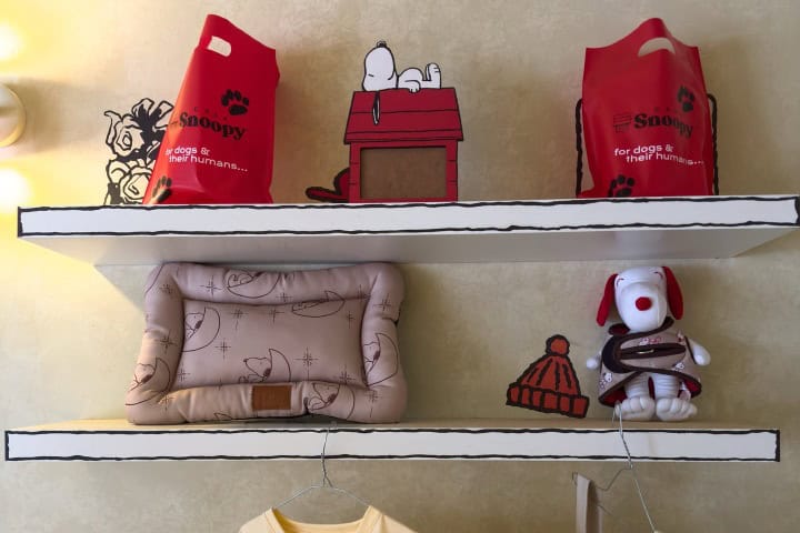 5. Tienda de regalos en Casa Snoopy. Foto - @el_mariacaa (Instagram)