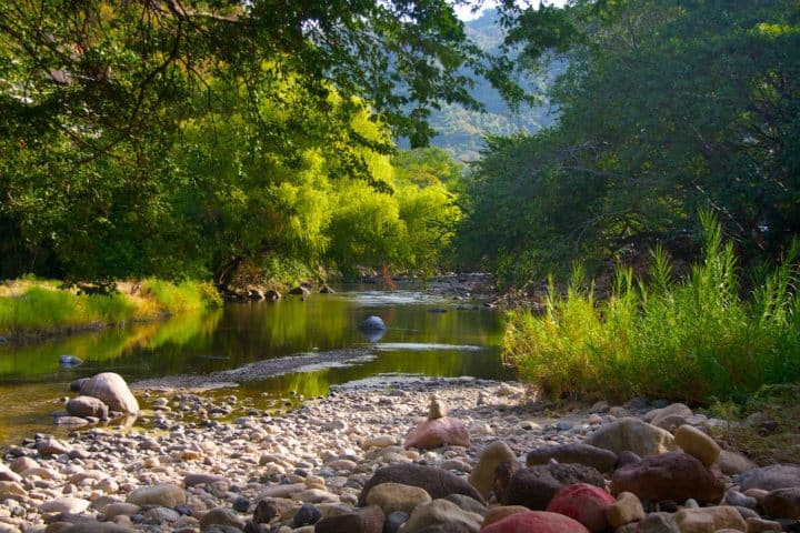 5. Río de San Pedro. Foto - Visit Nayarit