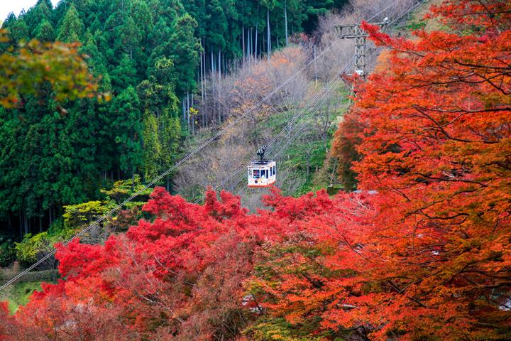 6. Tranvía en el Monte Yoshino. Foto - よしのーと (Yoshinote)