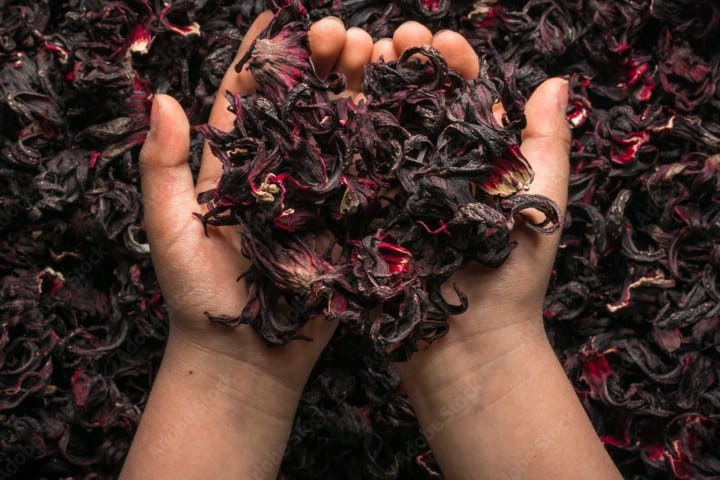 6. Flor de jamaica. Foto - Adobe Stock (15 de Septiembre)