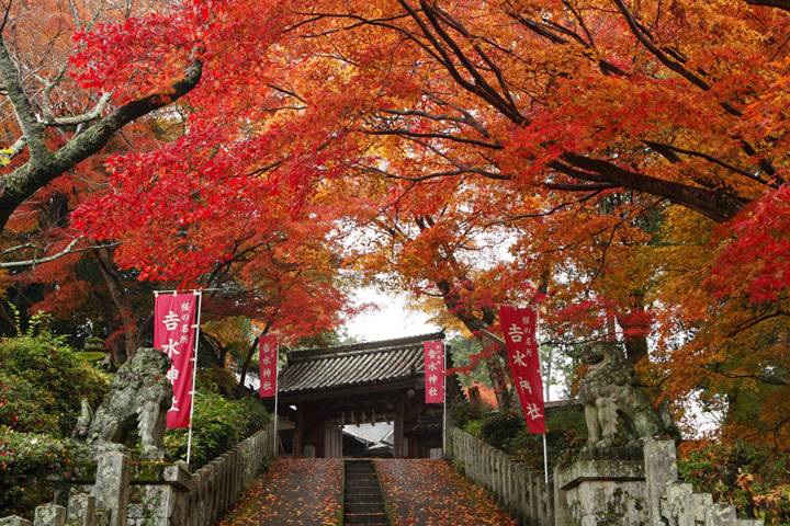 7. Templo Yoshimizu-jinja. Foto - よしのーと (Yoshinote)