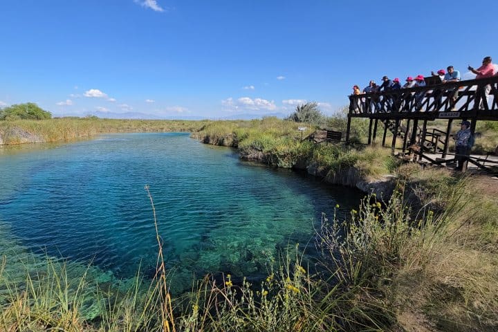 7. Viajero de Vinos y Dinos en Cuatro Ciénegas. Foto - Rehiletes