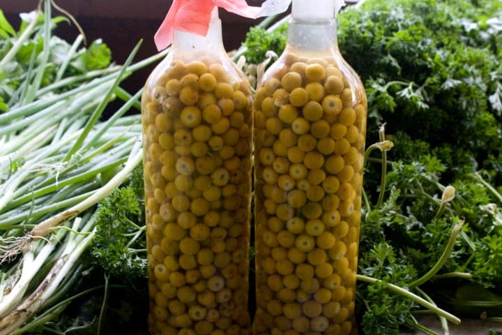 7. Botellas de licor de nanche casero. Foto - Cultura y Delicias Prehispánicas
