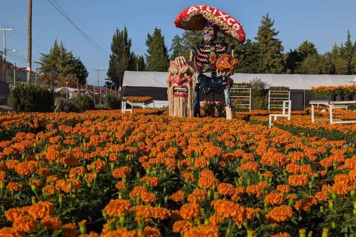 9. Valle de Catrinas. Foto - Rehiletes