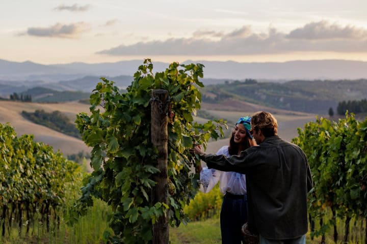 9. Caminata entre viñedos. Foto - @castelfalfi (Instagram)