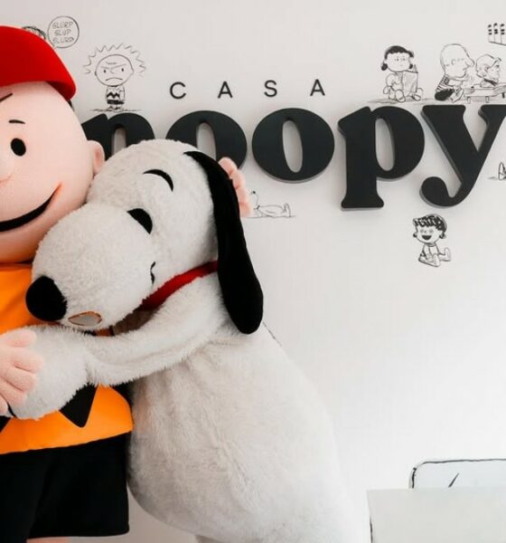CASA SNOOPY EN LA CDMX