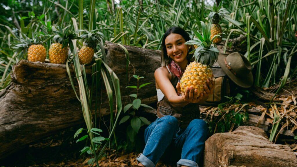 CONOCE LA RUTA DE LA PIÑA EN NAYARIT
