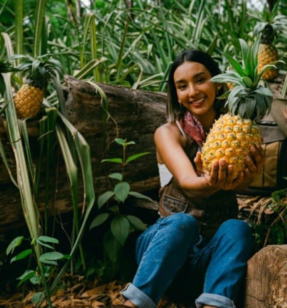 CONOCE LA RUTA DE LA PIÑA EN NAYARIT