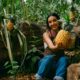 CONOCE LA RUTA DE LA PIÑA EN NAYARIT