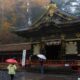 DESTINOS QUE TIENES QUE VISITAR EN JAPÓN DURANTE EL OTOÑO