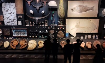 EL MUSEO DE LA MILARCA EN NUEVO LE+ON, MONTERREY