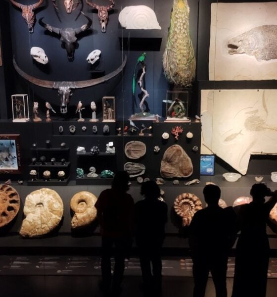 EL MUSEO DE LA MILARCA EN NUEVO LE+ON, MONTERREY