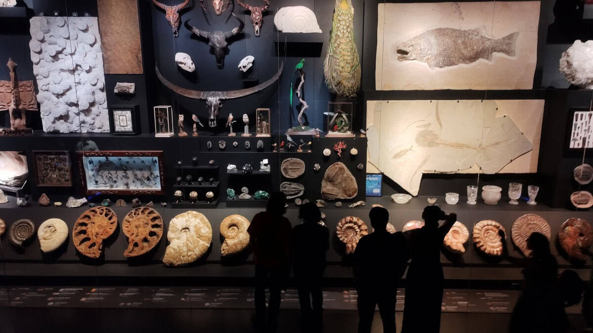 EL MUSEO DE LA MILARCA EN NUEVO LE+ON, MONTERREY