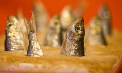 STARGAZY PIE, UN PASTEL CON CABEZAS DE SARDINAS
