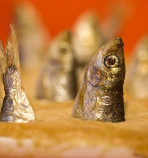 STARGAZY PIE, UN PASTEL CON CABEZAS DE SARDINAS