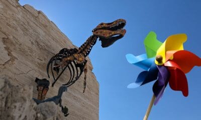 VINOS Y DINOS CON REHILETES