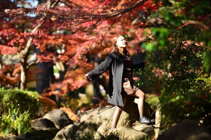 1. Japón durante el otoño. Foto - Getty Images