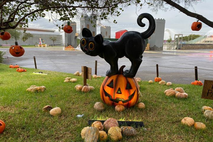 1. Festival de las Calabazas en Parque Guanajuato Bicentenario. Foto - @parqueguanajuato (Instagram)