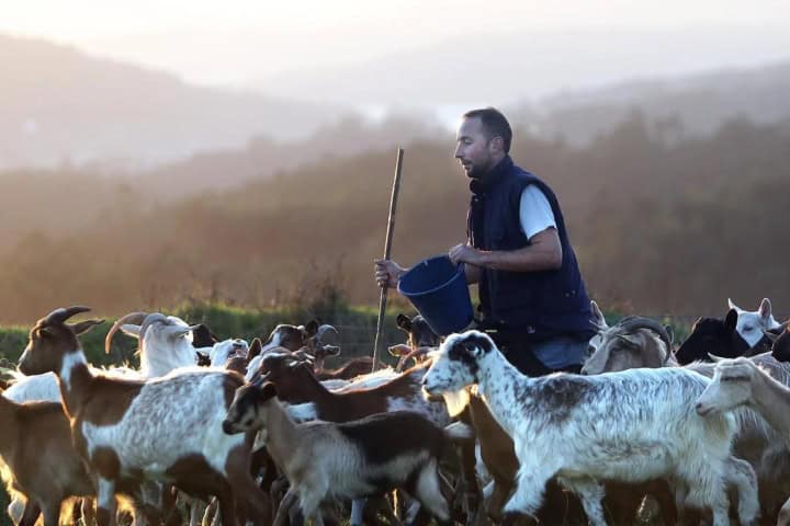 1. Pastor en España. Foto - Pastores de Galicia (Facebook)