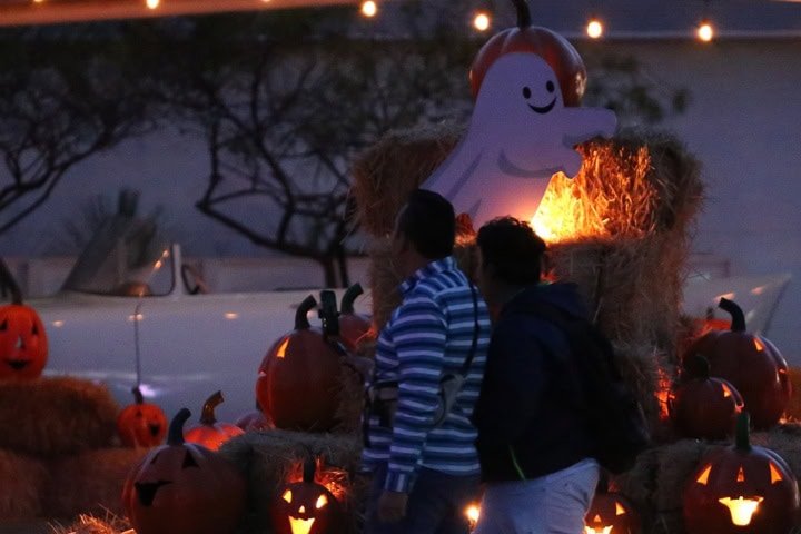 2. Festival de las Calabazas en Parque Guanajuato Bicentenario. Foto - @parqueguanajuato (Instagram)