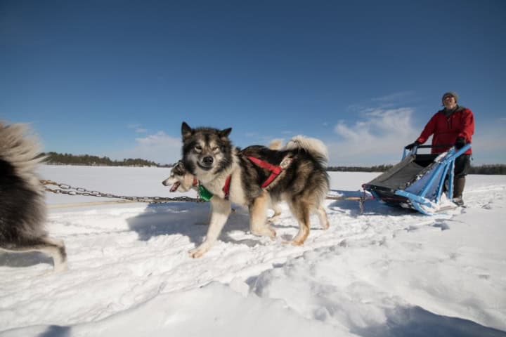 2. Paseo en trineo. Foto - Yumping