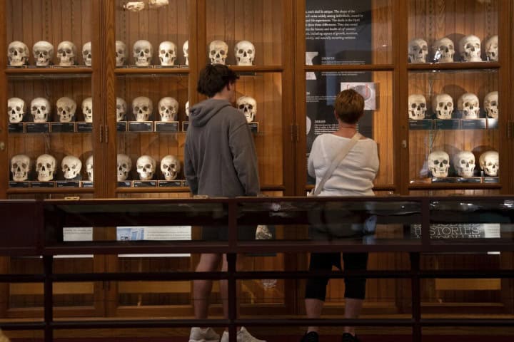 2. Visitantes en el Museo Mütter. Foto - AP News