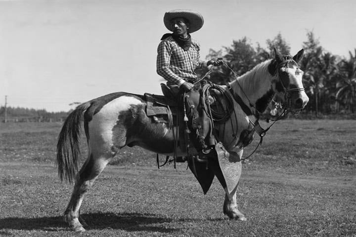 3. Vaquero Paniolo hawaiano. Foto – etsy.com