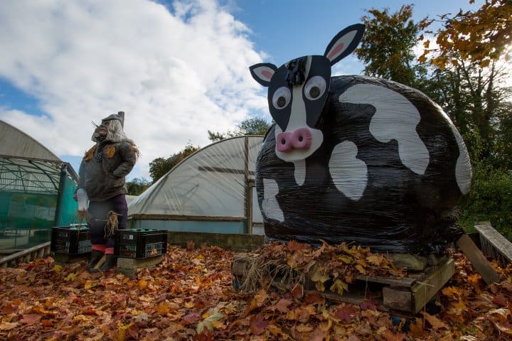 3. Esculturas de heno. Foto - Derry Halloween (Facebook)