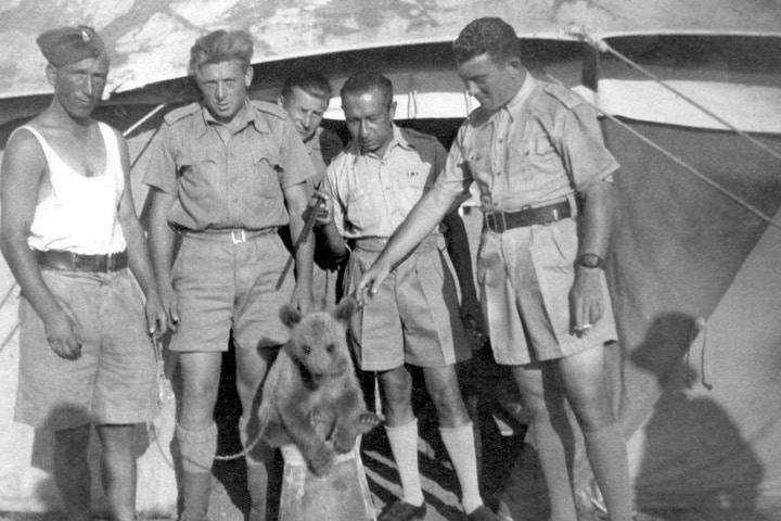 4. Tropa polaca con Wojtek. Foto - Spiegel