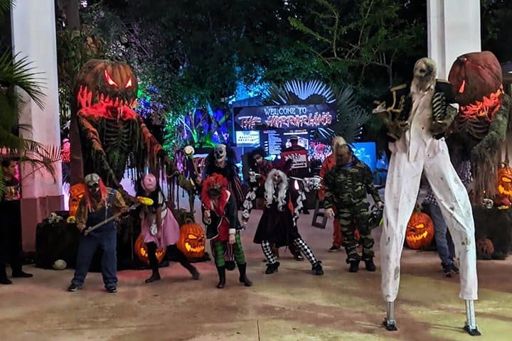 The Horrorland. Foto – sflinsider.com