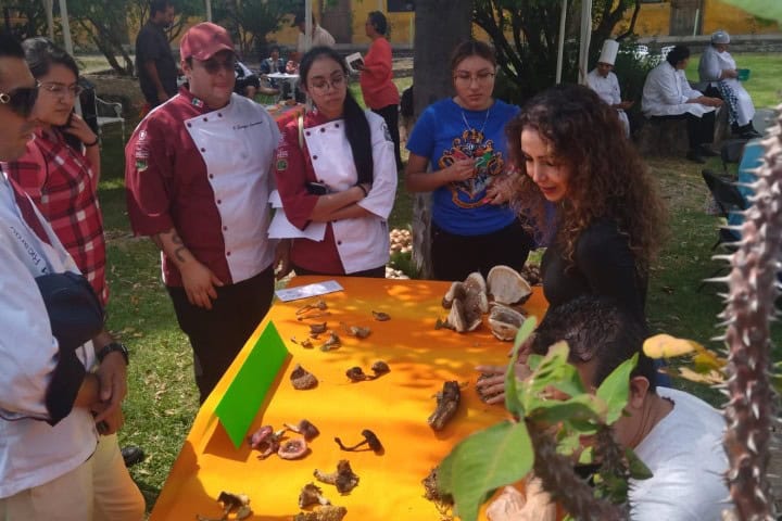 4. Fungi Fest en la Casona de los Granados. Foto - Fungi Fest Morelia (Facebook)