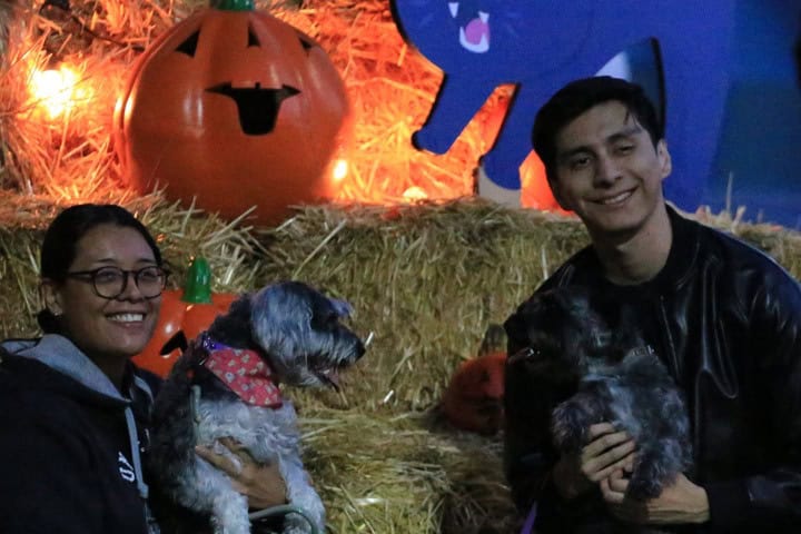 5. Pareja con mascotas en el Festival de las Calabazas. Foto - @parqueguanajuato (Instagram)