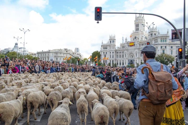 5. Fiesta de la Trashumancia en España. Foto - iStock