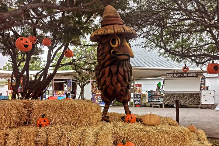 6. Festival de las Calabazas. Foto - @parqueguanajuato (Instagram)