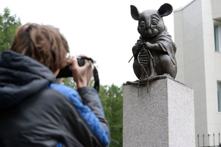 6. Visitante en el monumento al Ratón de Laboratorio. Foto - tunistravel.ru