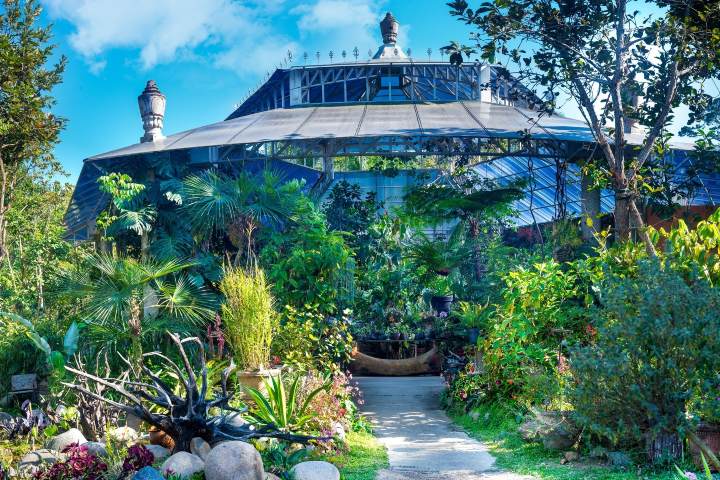 6. Jardín Botánico de Vallarta. Foto - Jardín Botánico de Vallarta (Facebook)