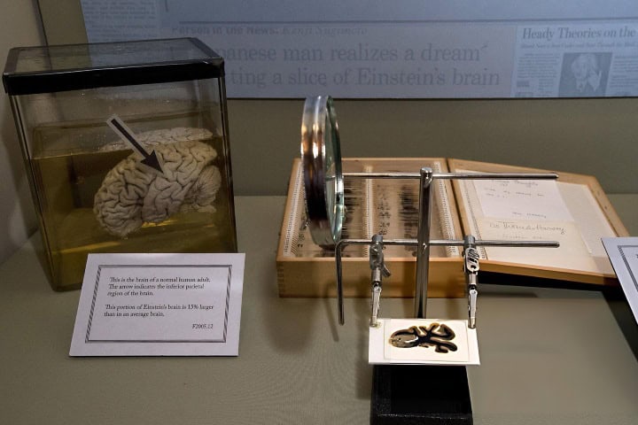 6. Cebrero de Albert Einstein. Foto - Getty Images