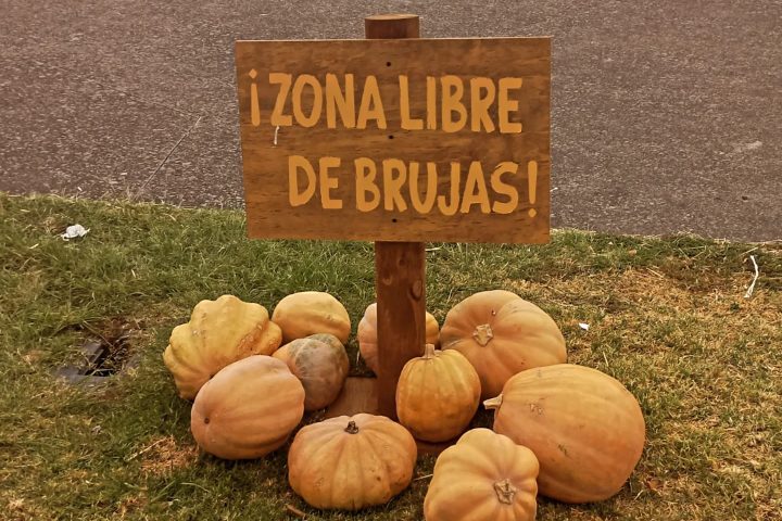 7. Festival de las Calabazas. Foto - @parqueguanajuato (Instagram)