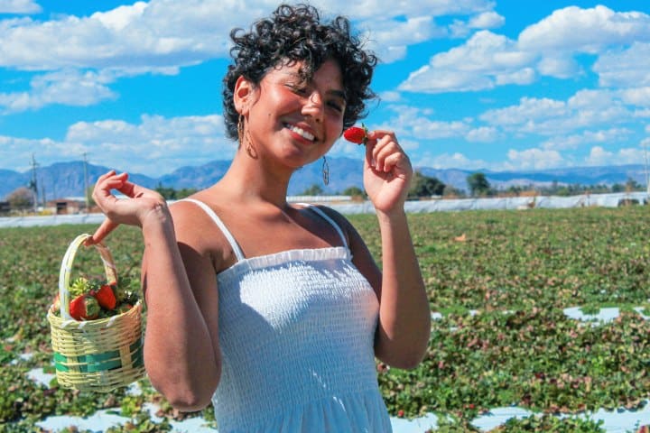 7. Tour a los cultivos de fresa de Irapuato. Foto - Ruta de la fresa Irapuato, Gto. (Facebook)