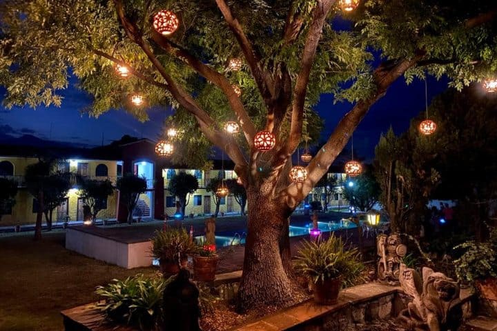 7. Árbol y piscina en la Casona de los Granados. Foto - Casona de los Granados (Facebook)