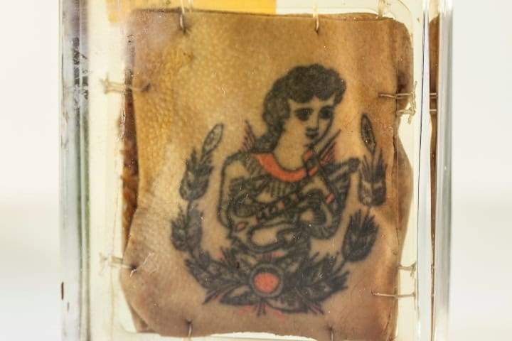 7. Tatuaje en el Museo Mütter. Foto - @MutterMuseum (X)