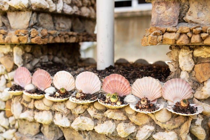 8. Conchas marinas en el Jardín Rosa Mir. Foto - Alamy