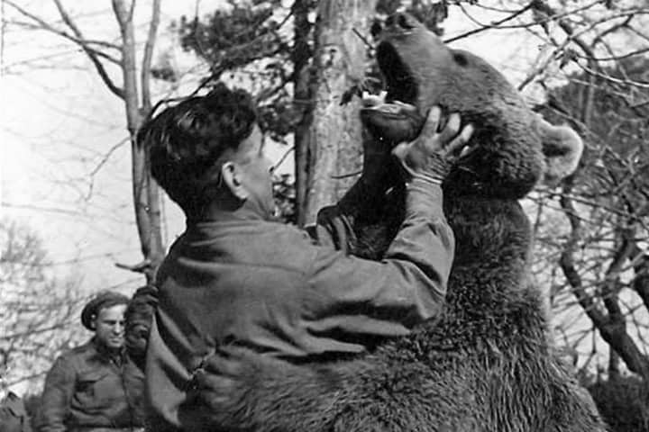 9. Militares jugando con Wojtek. Foto - Daily Record