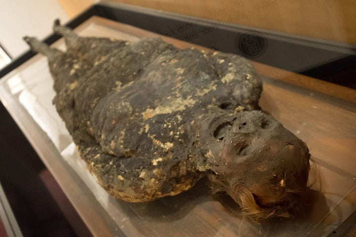 9. Mujer momificada con jabón. Foto - Getty Images