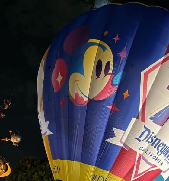 CELEBRATE HAPPINESS LLEGA AL FESTIVAL DEL GLOBO DE LEÓN