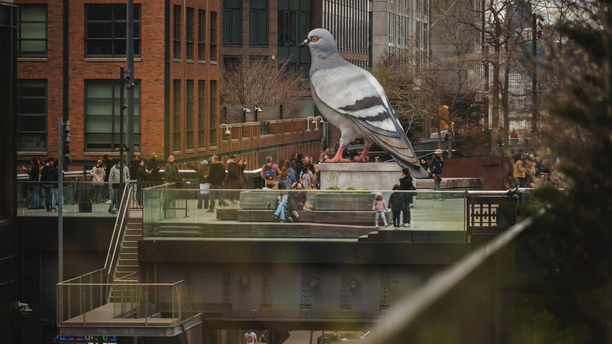 DINOSAUR, LA PALOMA GIGANTE DE NUEVA YORK