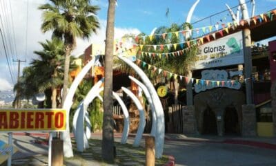 DINOZASTRE PARK PLAZA EN TIJUANA