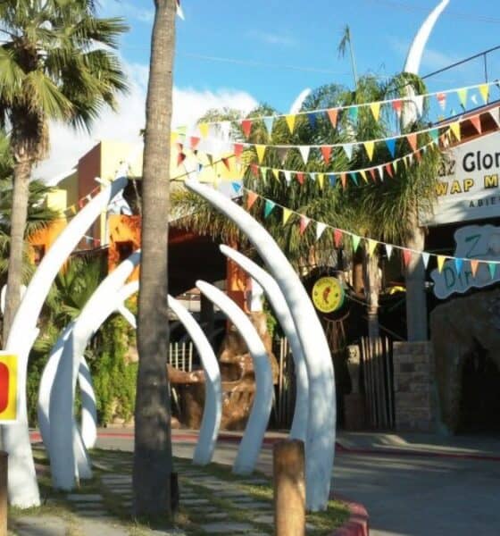 DINOZASTRE PARK PLAZA EN TIJUANA