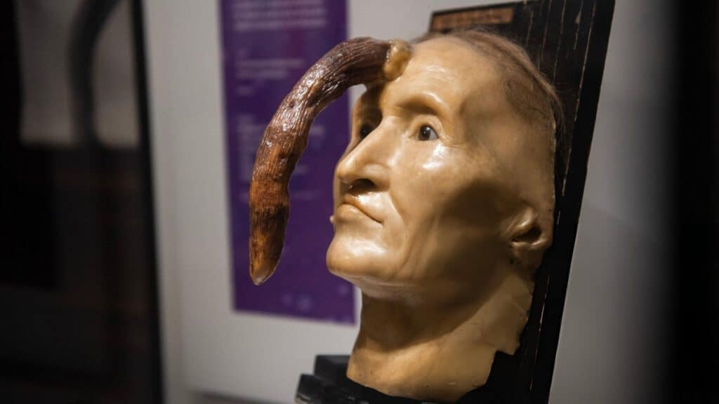 EL MUSEO MÜTTER EN FILADELFIA