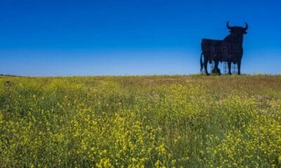 EL TORO DE OSBORNE, UN ÍCONO DE LAS CARRETERAS